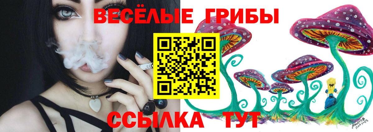 Волгодонск  Псилоцибиновые грибы Psilocybine cubensis  цена наркотик  Вход с VPN  Галлюциногенные грибы мухоморы 