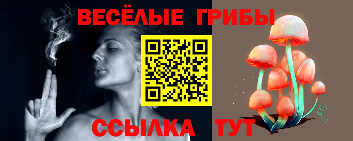 Галлюциногенные грибы Magic Shrooms Волгодонск