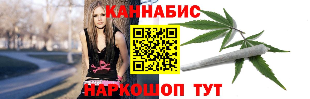 Каннабис семена  Вход с VPN  Марихуана White Widow  Волгодонск  МАРИХУАНА White Widow  Каннабис ГИДРОПОН 